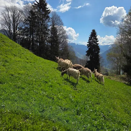 Ferien Auf Dem Bergrbauernhof Falider *